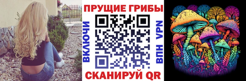 omg tor  Аткарск  Псилоцибиновые грибы прущие грибы 